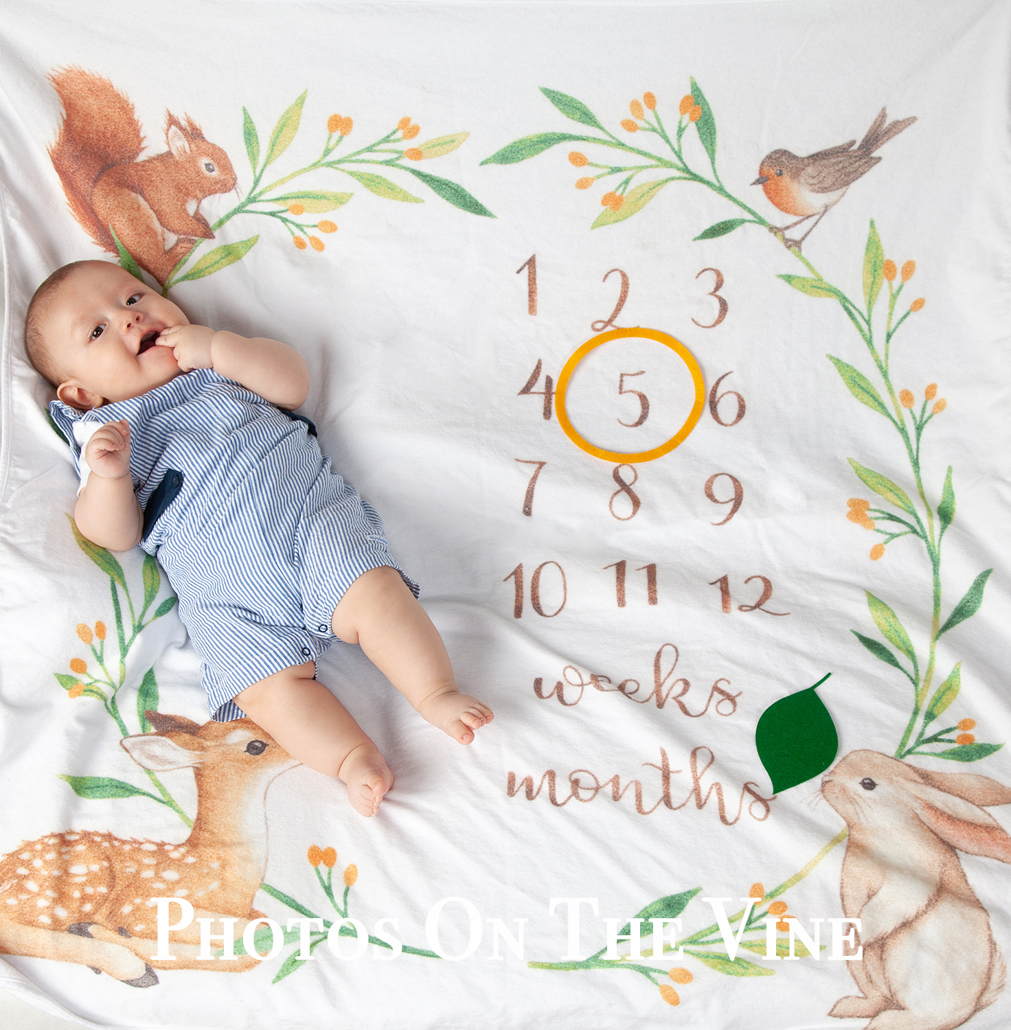 Joel at  5 months